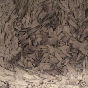 Meet your Posher, Mia